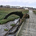 TreeHitsJetty