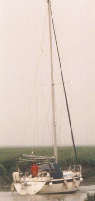 TreeHitsJetty